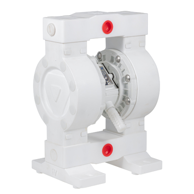 مضخة الحجاب الحاجز RV PTFE 36lpm الحد الأقصى للتدفق 100psi الضغط