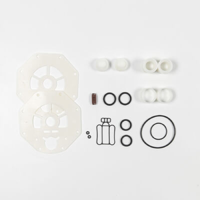 مضخة الحجاب الحاجز PTFE مادة PP مع 100psi ضغط أقصى لنقل محلول اليوريا