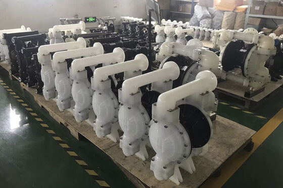 مضخة الحجاب المزدوج من نوع 2 بوصة ذات الصف الغذائي الصحي مع شهادة غذائية