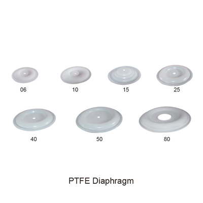 تعمل أجزاء مضخة الحجاب الحاجز المزدوج بغشاء PTFE